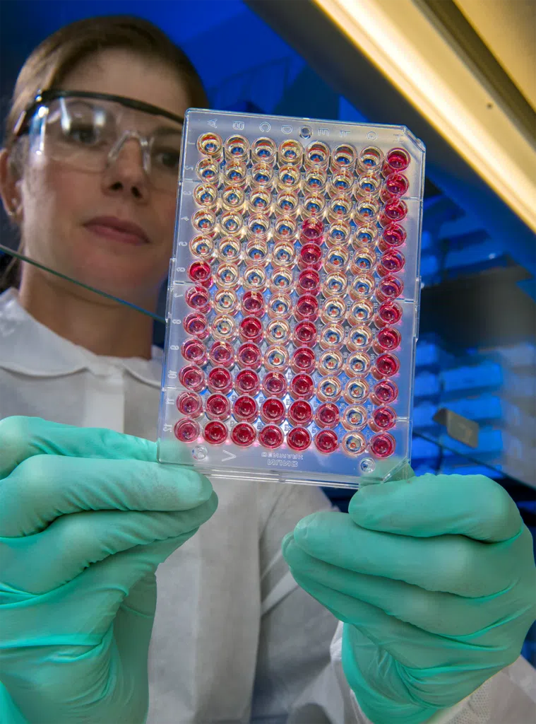 Woman researcher looking at colorful lab results