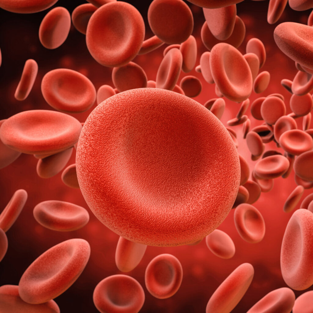 This image features a 3D rendering of red blood cells in motion, symbolizing blood circulation.